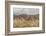 Chemde Monastery, near Karu-Guido Cozzi-Framed Photographic Print