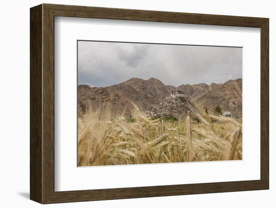 Chemde Monastery, near Karu-Guido Cozzi-Framed Photographic Print