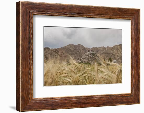 Chemde Monastery, near Karu-Guido Cozzi-Framed Photographic Print