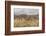 Chemde Monastery, near Karu-Guido Cozzi-Framed Photographic Print