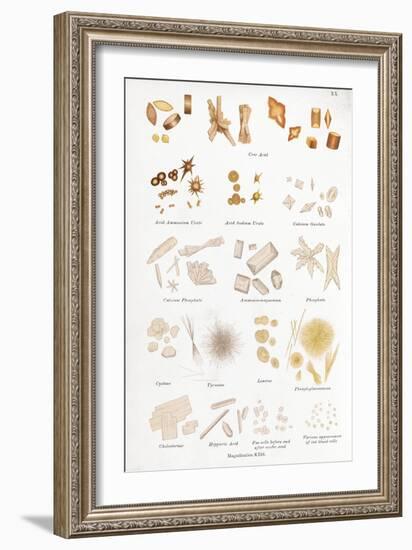 Chemical Crystals, Historical Artwork-Middle Temple Library-Framed Photographic Print