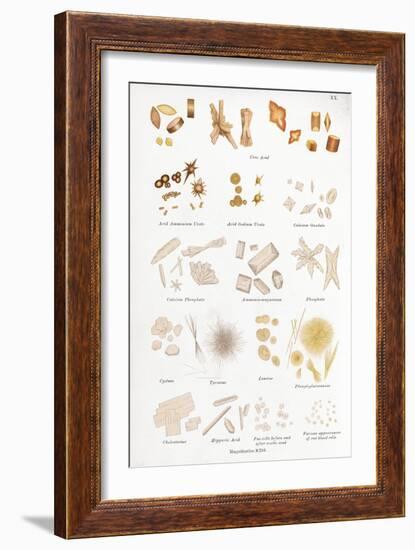 Chemical Crystals, Historical Artwork-Middle Temple Library-Framed Photographic Print
