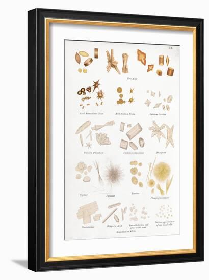 Chemical Crystals, Historical Artwork-Middle Temple Library-Framed Photographic Print