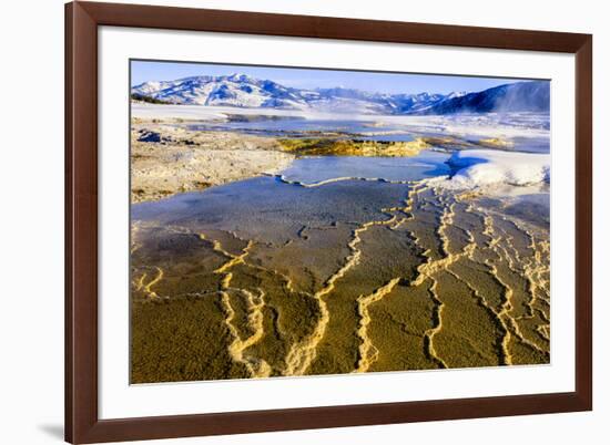 Chemical Sediments. Yellowstone National Park, Wyoming.-Tom Norring-Framed Premium Photographic Print