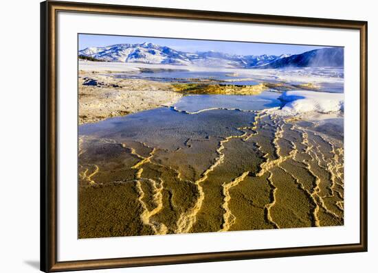 Chemical Sediments. Yellowstone National Park, Wyoming.-Tom Norring-Framed Premium Photographic Print