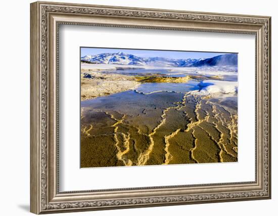 Chemical Sediments. Yellowstone National Park, Wyoming.-Tom Norring-Framed Photographic Print