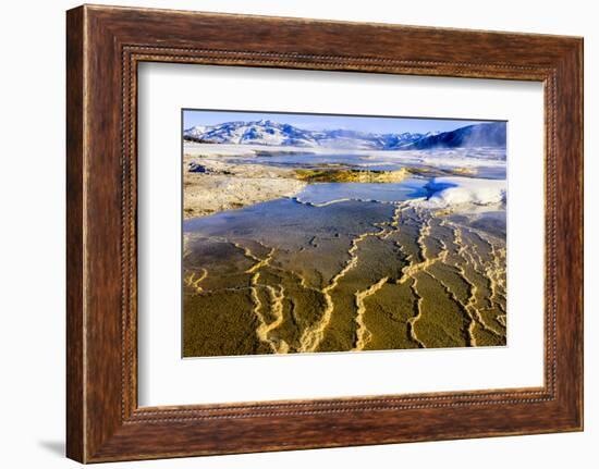 Chemical Sediments. Yellowstone National Park, Wyoming.-Tom Norring-Framed Photographic Print