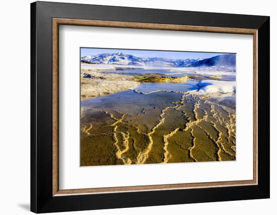 Chemical Sediments. Yellowstone National Park, Wyoming.-Tom Norring-Framed Photographic Print