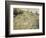 Chemin montant dans les hautes herbes-Pierre-Auguste Renoir-Framed Giclee Print