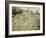 Chemin montant dans les hautes herbes-Pierre-Auguste Renoir-Framed Giclee Print