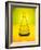 Chemistry Beaker-Thom Lang-Framed Photographic Print