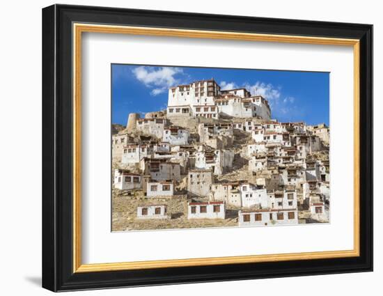 Chemre or Chemrey Village and Monastery, Near Leh, Ladakh, India-Peter Adams-Framed Photographic Print