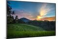 Premium Photographic Print