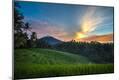 Photographic Print