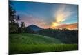 Photographic Print
