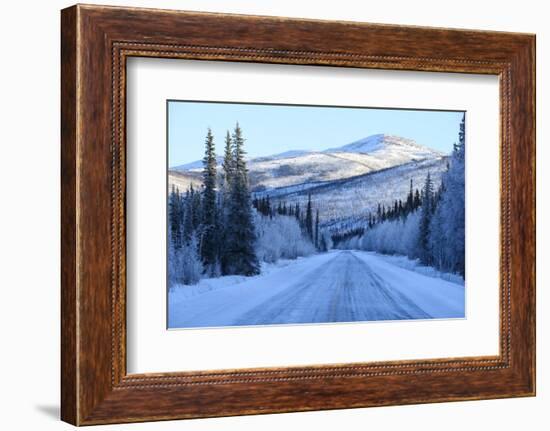 Chena Hot Springs Road.Fairbanks,Alaska,Usa-Christian Heeb-Framed Photographic Print