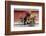 Chengdu Seller-Charles Bowman-Framed Photographic Print