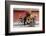 Chengdu Seller-Charles Bowman-Framed Photographic Print