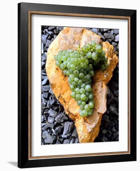 Chenin Blanc Grapes Lying on Stone, South Africa-Joerg Lehmann-Framed Photographic Print