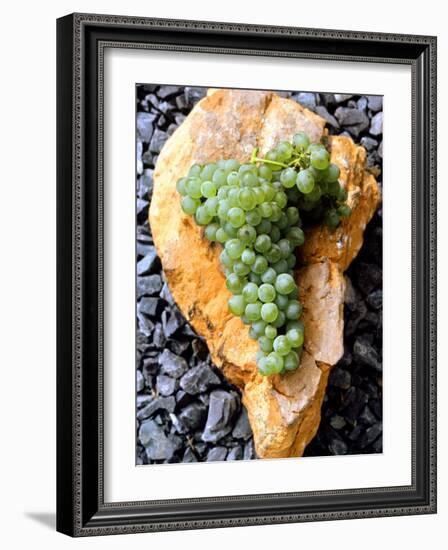 Chenin Blanc Grapes Lying on Stone, South Africa-Joerg Lehmann-Framed Photographic Print