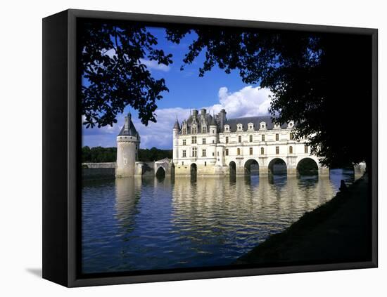 Chenonceau Castle, Loire, View of Chateau Through Trees-Marcel Malherbe-Framed Premier Image Canvas
