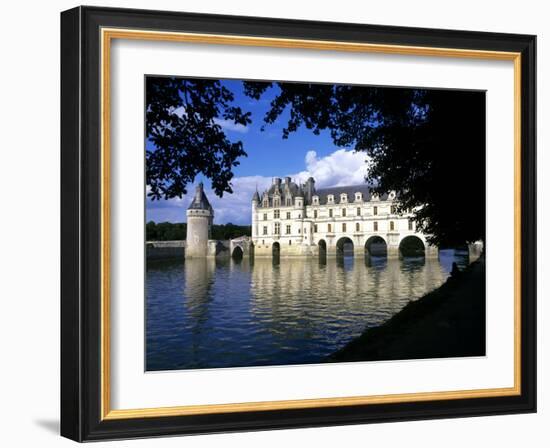 Chenonceau Castle, Loire, View of Chateau Through Trees-Marcel Malherbe-Framed Photographic Print