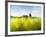 Chenonceau-Mathieu Rivrin-Framed Photographic Print