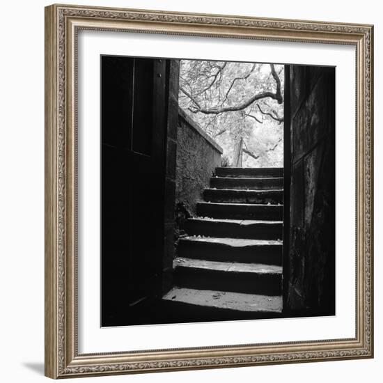 Chenonceaux-Moises Levy-Framed Photographic Print