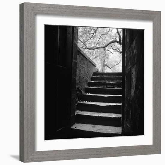 Chenonceaux-Moises Levy-Framed Photographic Print
