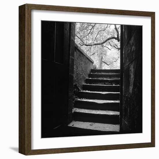 Chenonceaux-Moises Levy-Framed Photographic Print