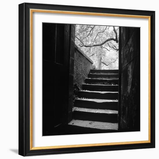 Chenonceaux-Moises Levy-Framed Photographic Print