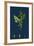 Chenopodium Vulvaria; Stinking Goosefoot-null-Framed Giclee Print