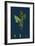 Chenopodium Vulvaria; Stinking Goosefoot-null-Framed Giclee Print