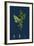 Chenopodium Vulvaria; Stinking Goosefoot-null-Framed Giclee Print