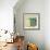 Chentes Turtle Light-Kellie Day-Framed Premium Giclee Print displayed on a wall