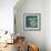 Chentes Turtle on Blue-Kellie Day-Framed Premium Giclee Print displayed on a wall