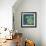 Chentes Turtle on Blue-Kellie Day-Framed Premium Giclee Print displayed on a wall