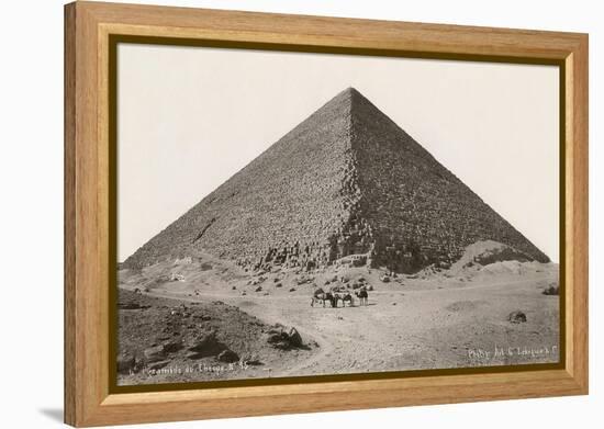 Cheops Pyramid and Camels-null-Framed Stretched Canvas