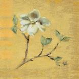 Dogwood Blossom on Gold-Cheri Blum-Art Print