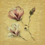 Magnolia Blossom on Gold-Cheri Blum-Art Print