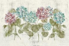 Hollyhocks Row Cool-Cheri Blum-Art Print