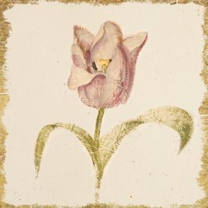 Cheri Blum Art Prints Paintings Posters Framed Wall Artwork