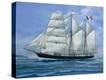 Stretched Canvas Print