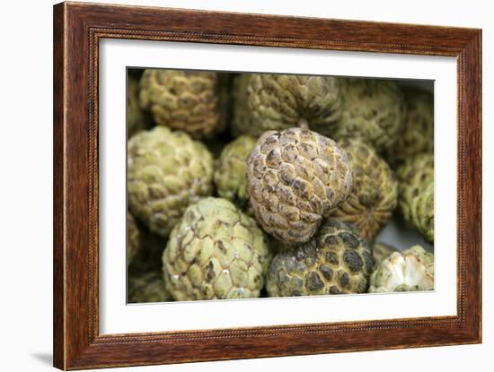 Cherimoya Fruit (Annona Cherimola)-Bjorn Svensson-Framed Photographic Print