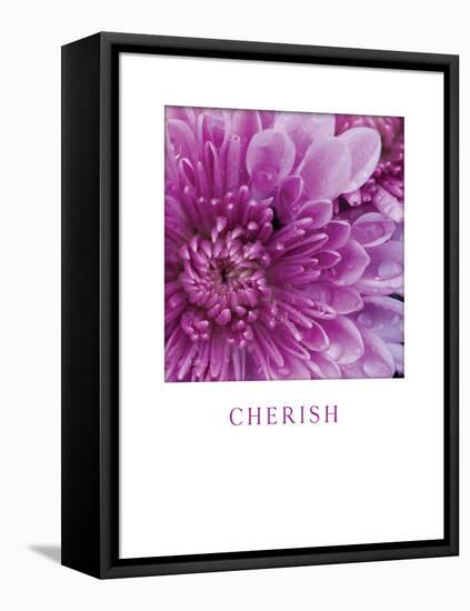 Cherish-Erin Berzel-Framed Stretched Canvas