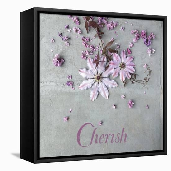 Cherish-Sarah Gardner-Framed Stretched Canvas