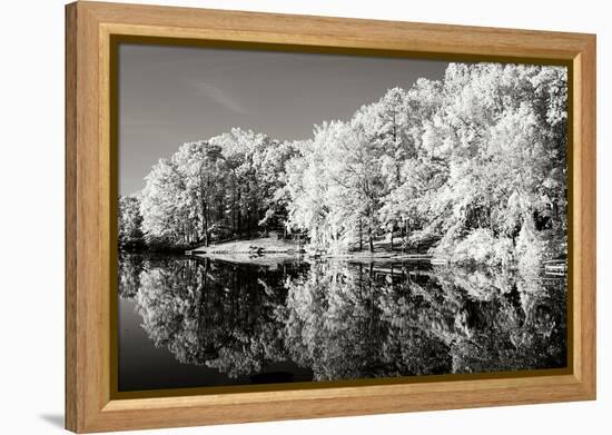 Cherokee Lake I-Alan Hausenflock-Framed Premier Image Canvas