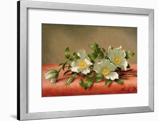 Cherokee Roses, 1889-Martin Johnson Heade-Framed Giclee Print