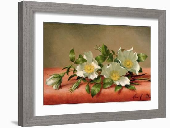 Cherokee Roses, 1889-Martin Johnson Heade-Framed Giclee Print
