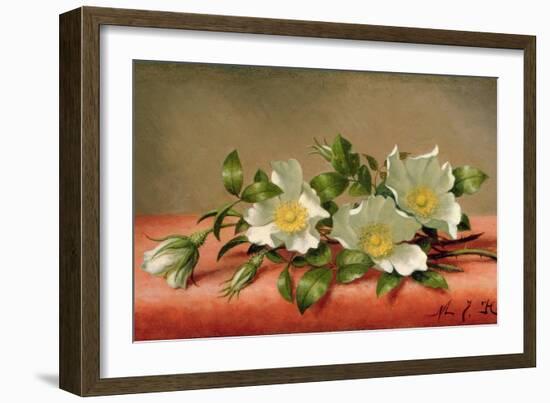 Cherokee Roses, 1889-Martin Johnson Heade-Framed Giclee Print